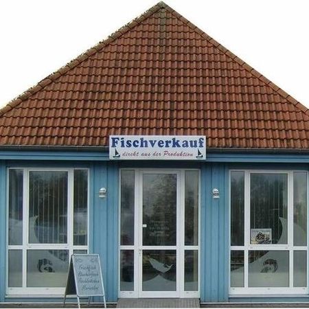 Fischverkaufsstelle mit rotem Dach. Ein kleines blaues Gebäude mit rotem Ziegeldach und großen Fenstern. Über der Tür hängt ein Schild mit der Aufschrift Fischverkauf direkt aus der Produktion.