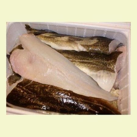 Filetierte Fischstücke in einer weißen Kunststoffwanne.