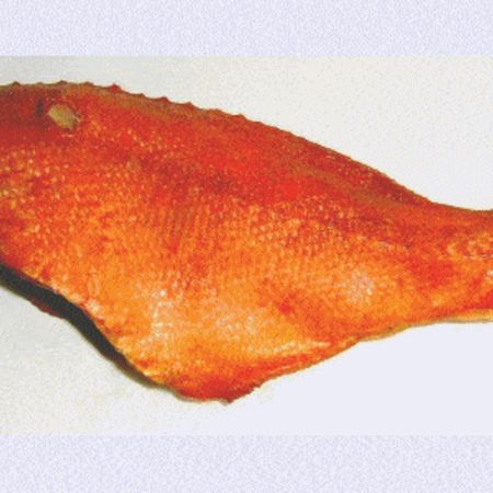 Geräuchertes ganzes Fischfilet mit intensiver Farbe